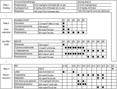 Hematopoietic Stem Cell Transplantation for the Treatment of Epstein-Barr Virus-Associated T- or NK-Cell Lymphoproliferative Diseases and Associated Disorders